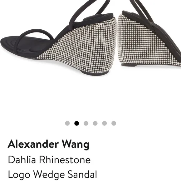 ALEXANDER WANGBlack Crystal Dahlia 95 Wedge Heels