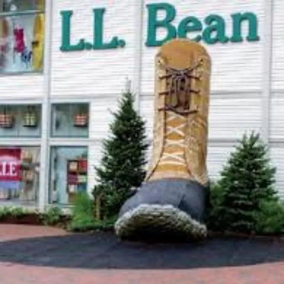 L.L. Bean Suede Toddler Shoes w/Velcro Closure  👞