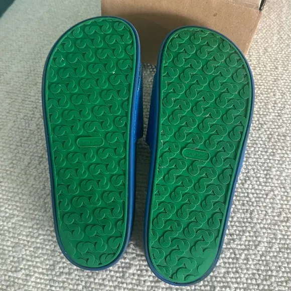 Tory Burch Blue and Green Slide Sandals