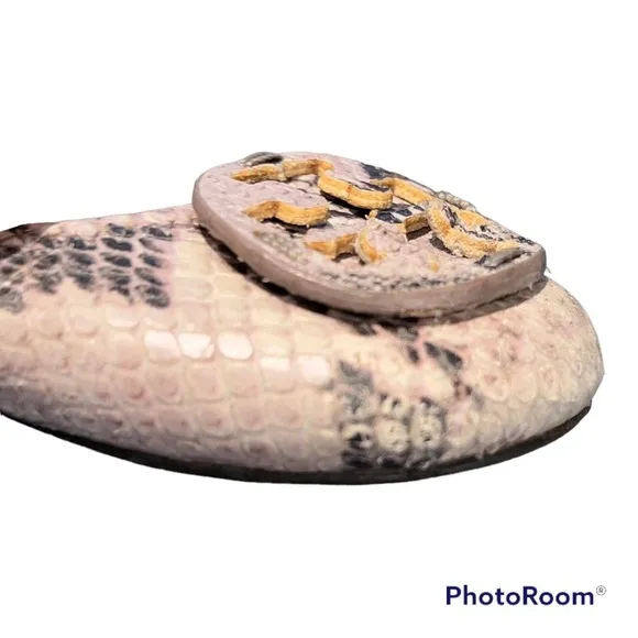Tory Burch Snake Print Reva Cowhide Leather Flats