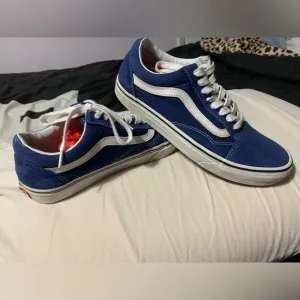 Vans Men's Blue Sneakers